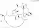 Fig. 173 - CYCLODEXTRIN-BASED POLYMERS FOR THERAPEUTIC DELIVERY