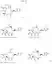 Fig. 19 - CYCLODEXTRIN-BASED POLYMERS FOR THERAPEUTIC DELIVERY