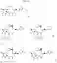Fig. 20 - CYCLODEXTRIN-BASED POLYMERS FOR THERAPEUTIC DELIVERY