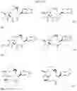 Fig. 22 - CYCLODEXTRIN-BASED POLYMERS FOR THERAPEUTIC DELIVERY
