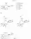 Fig. 24 - CYCLODEXTRIN-BASED POLYMERS FOR THERAPEUTIC DELIVERY