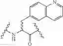 Fig. 308 - CYCLODEXTRIN-BASED POLYMERS FOR THERAPEUTIC DELIVERY
