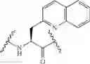 Fig. 310 - CYCLODEXTRIN-BASED POLYMERS FOR THERAPEUTIC DELIVERY
