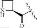 Fig. 327 - CYCLODEXTRIN-BASED POLYMERS FOR THERAPEUTIC DELIVERY