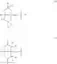 Fig. 348 - CYCLODEXTRIN-BASED POLYMERS FOR THERAPEUTIC DELIVERY