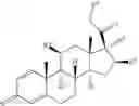 Fig. 378 - CYCLODEXTRIN-BASED POLYMERS FOR THERAPEUTIC DELIVERY