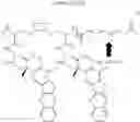 Fig. 457 - CYCLODEXTRIN-BASED POLYMERS FOR THERAPEUTIC DELIVERY