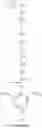 Fig. 478 - CYCLODEXTRIN-BASED POLYMERS FOR THERAPEUTIC DELIVERY
