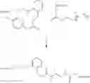 Fig. 488 - CYCLODEXTRIN-BASED POLYMERS FOR THERAPEUTIC DELIVERY