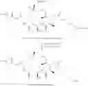 Fig. 496 - CYCLODEXTRIN-BASED POLYMERS FOR THERAPEUTIC DELIVERY
