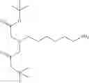 Fig. 558 - CYCLODEXTRIN-BASED POLYMERS FOR THERAPEUTIC DELIVERY