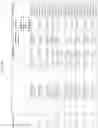 Fig. 58 - CYCLODEXTRIN-BASED POLYMERS FOR THERAPEUTIC DELIVERY