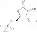 Fig. 06 - MODIFIED OLIGONUCLEOTIDES AND THERAPEUTIC USES THEREOF