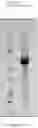 Fig. 07 - Production of immunotoxin D2C7—(scdsFv)—PE38KDEL