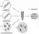 Fig. 01 - MOMP telonanoparticles, and related compositions, methods and systems
