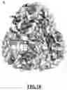 Fig. 03 - MOMP telonanoparticles, and related compositions, methods and systems