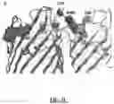 Fig. 04 - MOMP telonanoparticles, and related compositions, methods and systems