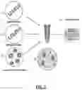 Fig. 06 - MOMP telonanoparticles, and related compositions, methods and systems