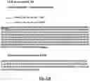 Fig. 22 - MOMP telonanoparticles, and related compositions, methods and systems