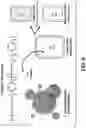 Fig. 07 - Nanocluster capped mesoporous nanoparticles, methods of making and use