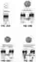 Fig. 11 - Nanocluster capped mesoporous nanoparticles, methods of making and use