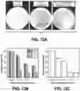 Fig. 13 - Nanocluster capped mesoporous nanoparticles, methods of making and use