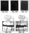 Fig. 19 - Nanocluster capped mesoporous nanoparticles, methods of making and use
