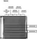 Fig. 09 - Genetic Construct