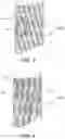 Fig. 03 - Collagen constructs and methods of making the same