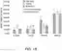 Fig. 17 - Collagen constructs and methods of making the same