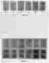 Fig. 09 - Nano-Engineered Bioresorbable Polymer Composite for Bone-Soft Tissue Fixation Application