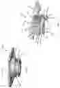 Fig. 12 - Negative pressure wound therapy canisters