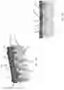 Fig. 23 - Negative pressure wound therapy canisters