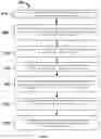 Fig. 08 - COMPOSITIONS AND DEVICES TO ADMINISTER PHARMACEUTICAL COMPOSITIONS NASALLY
