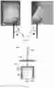 Fig. 09 - COMPOSITIONS AND DEVICES TO ADMINISTER PHARMACEUTICAL COMPOSITIONS NASALLY
