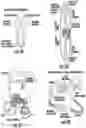 Fig. 10 - Methods and compositions for humidification and cooling of gas streams