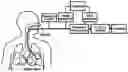Fig. 01 - Method and apparatus for computer-vision guided targeted delivery of small liquid volumes into selected lung regions