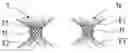 Fig. 01 - Stent