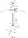 Fig. 04 - Apparatus, systems and methods for delivery of medication to the brain to treat neurological conditions