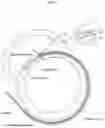Fig. 10 - Method for positioning terminal end of pacemaker lead, which has passed through coronary sinus, in interventricular septum