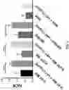 Fig. 04 - Induced cell morphology electroporation
