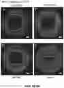 Fig. 09 - Induced cell morphology electroporation