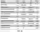 Fig. 16 - Induced cell morphology electroporation