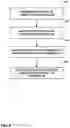 Fig. 07 - Dual prophylactic and abortive electrical stimulation