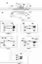 Fig. 01 - Implantable medical devices, systems, and methods for selection of optimal diaphragmatic stimulation parameters to affect pressures within the intrathoracic cavity