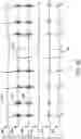 Fig. 06 - Implantable medical devices, systems, and methods for selection of optimal diaphragmatic stimulation parameters to affect pressures within the intrathoracic cavity