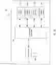 Fig. 08 - Systems and methods for restoring muscle function to the lumbar spine and kits for implanting the same