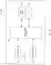 Fig. 12 - Systems and methods for restoring muscle function to the lumbar spine and kits for implanting the same
