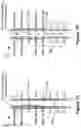Fig. 07 - Varying Stimulation Parameters to Prevent Tissue Habituation in a Spinal Cord Stimulation System