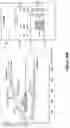 Fig. 45 - Varying Stimulation Parameters to Prevent Tissue Habituation in a Spinal Cord Stimulation System